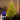 Árvore de Natal Inteligente com Luzes RGB e Sincronização Musical | foto 10 | decoração e acessórios para casa