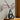 CAPIRON-Vaso Cerâmico Abstrato, Arranjo De Flores, Sala De Estar, Mesa De Escritório, Decoração Para Casa Acessórios, Interior Pampas Grama