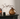 Vaso de vidro marrom minimalista, vaso de plantas hidropônicas, decoração de mesa, arranjo de flores, vasos florais, decoração estética de quarto