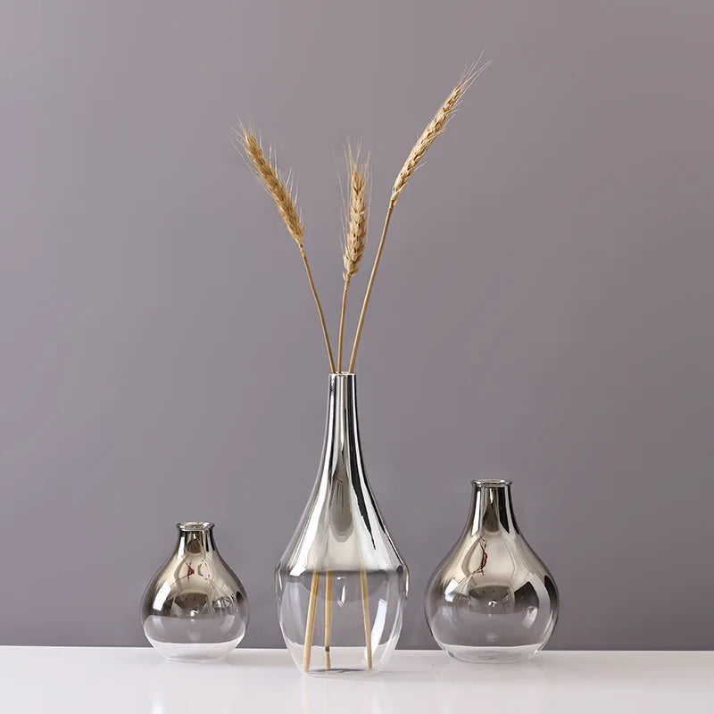 2025 nova marca vaso de vidro nórdico criativo prata gradiente seco inserção desktop terrário jóias decoração planta titular