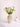 Vaso de cerâmica branco creme pintado em ouro retrô americano, sala de estar, mesa de centro, arranjo de flores, sensação sofisticada, água-bas